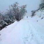 Sinop’ta nisan karı hayatı olumsuz etkiledi