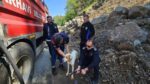 Uçurumda mahsur kalan görme engelli köpek kurtarıldı