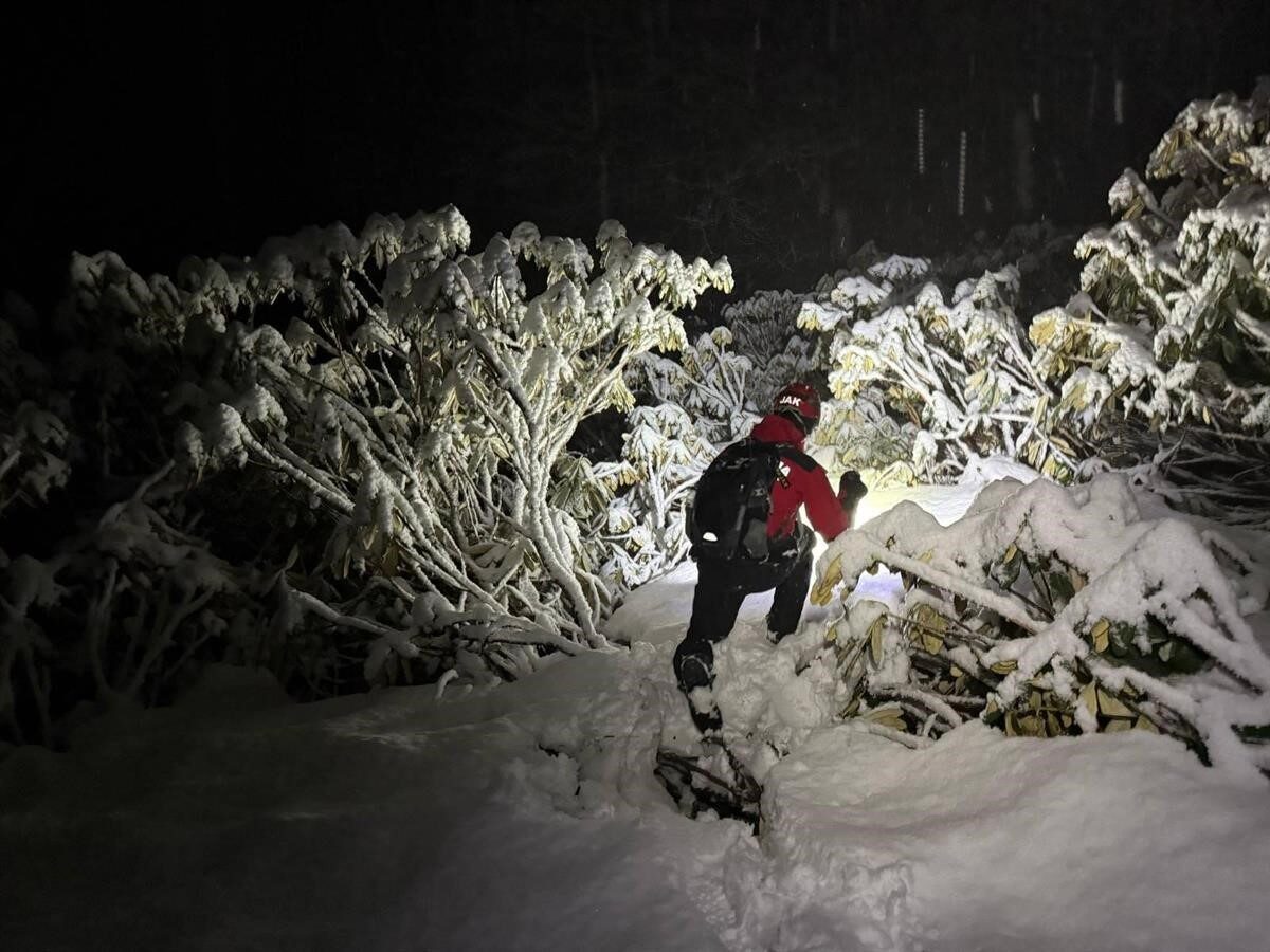 Ülkeye kaçak yollarla giren 4 şahıs ormanlık alanda donmak üzereyken bulundu