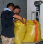 Üreticinin elinde fındık kalmayınca fındık fiyatı 150 TL’yi aştı