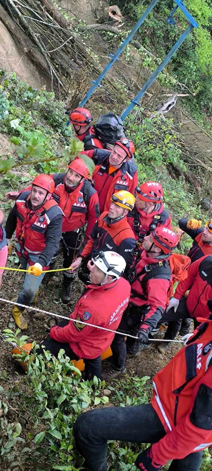 Üzerine ağaç devrildi, hayatını kaybetti