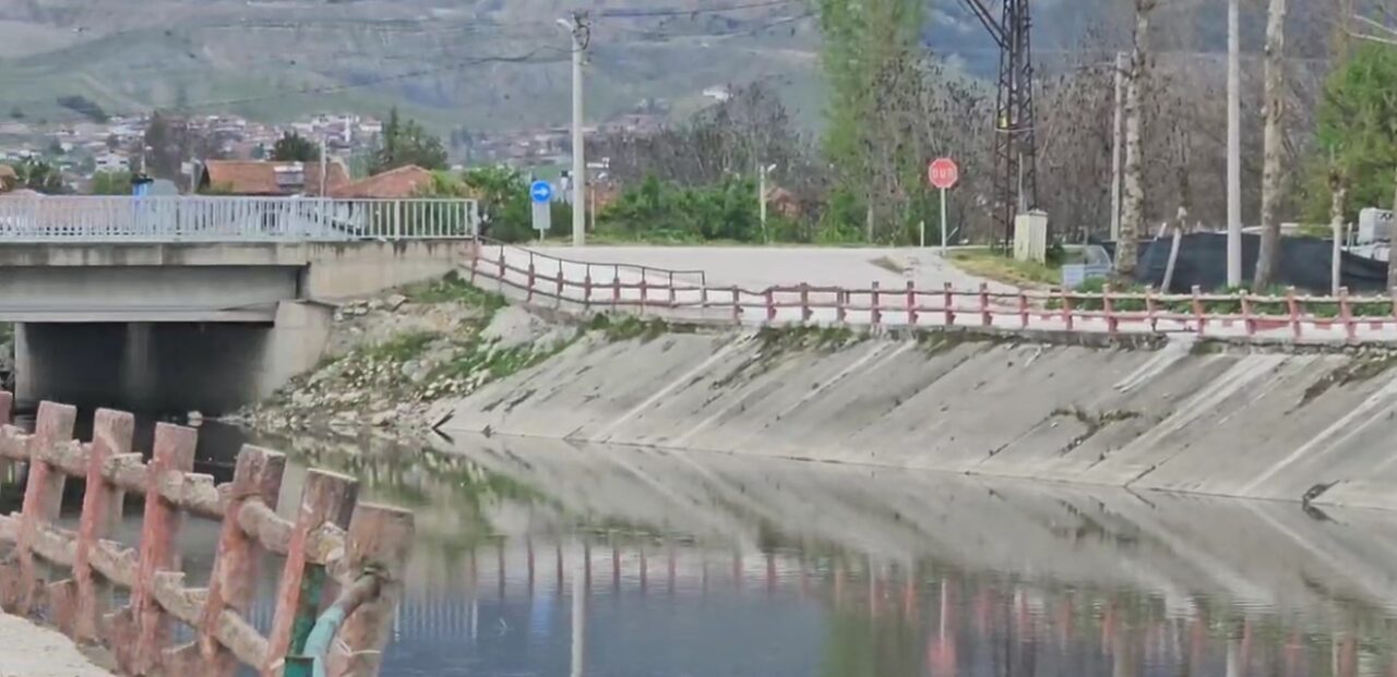 Yeşilırmak Nehri’nde balık ölümleri incelemeye alındı