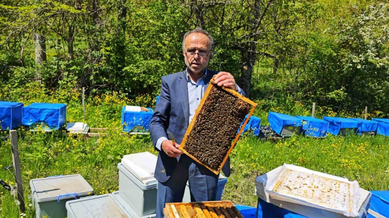 Zirai don Artvin’de arıcılığı vurdu, bu sezon bal üretiminde yüzde 60’a varan kayıp bekleniyor