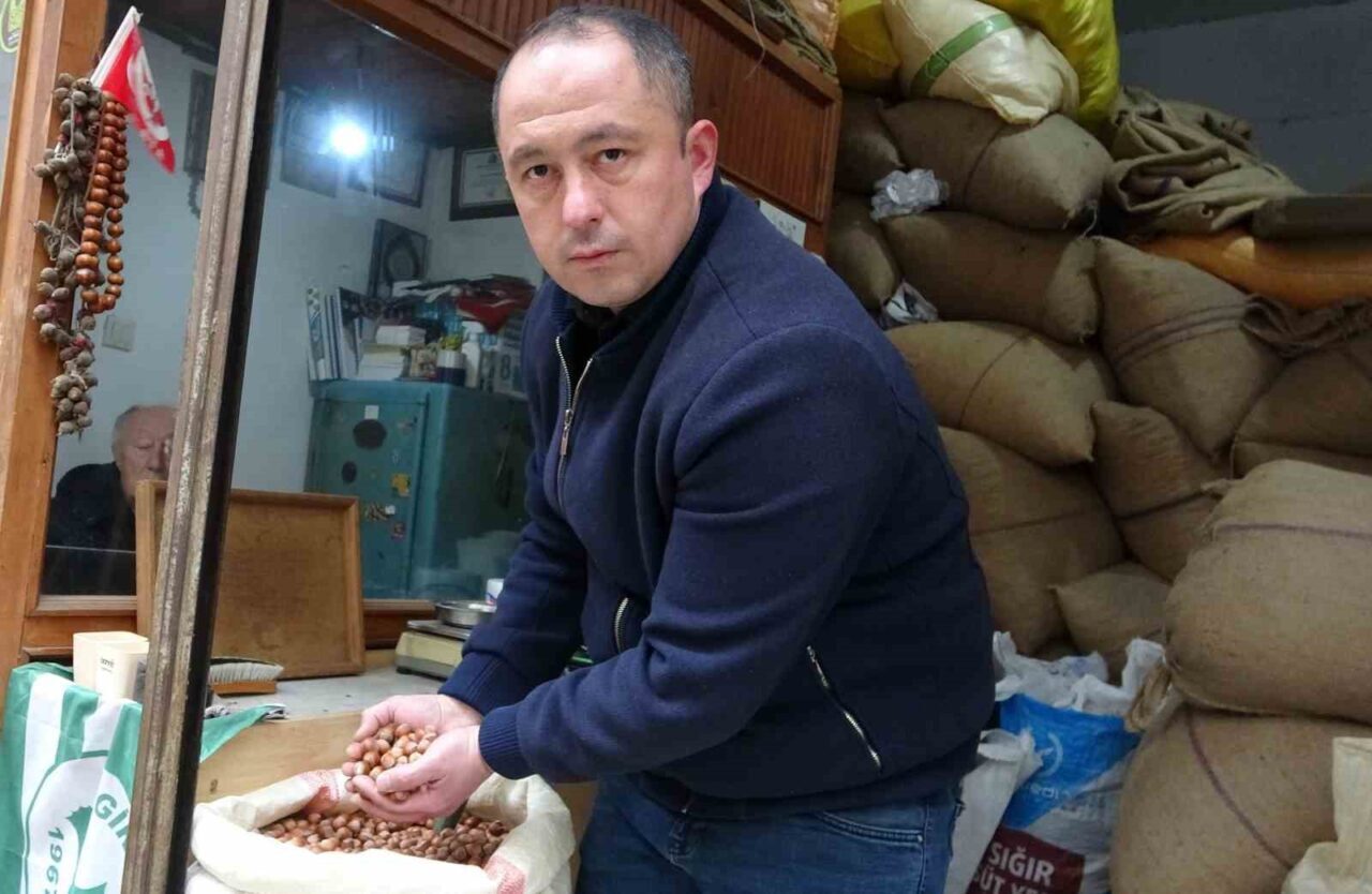 Zirai don fındık fiyatlarını uçurdu, serbest piyasada fındığın fiyatı 185 liraya yükseldi