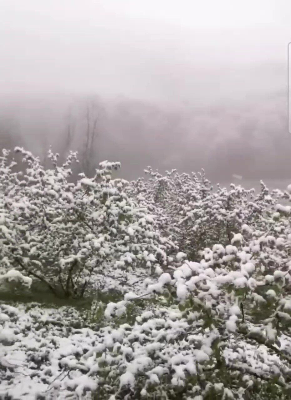 Zonguldak’ta Nisan ayında kar sürprizi