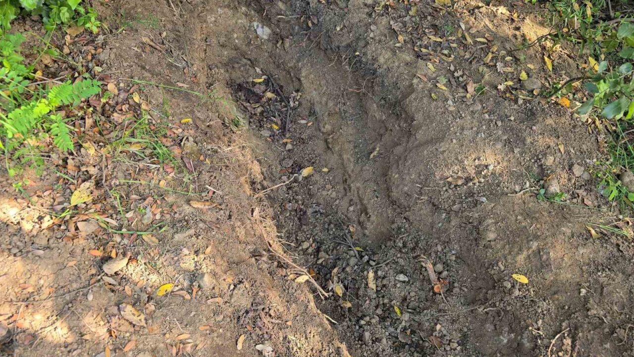 Ailesinin kayıp ihbarı cinayeti ortaya çıkardı