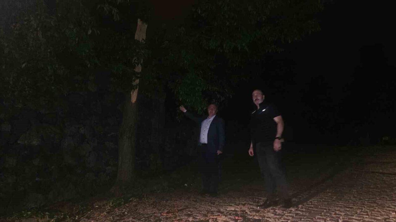 Arhavi Belediye Başkanı Ataselim, fırtına sonrası açıklama yaptı