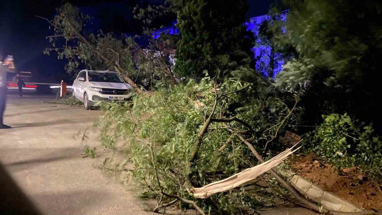 Artvin’de fırtına çatıları uçurdu, ağaçlar devrildi