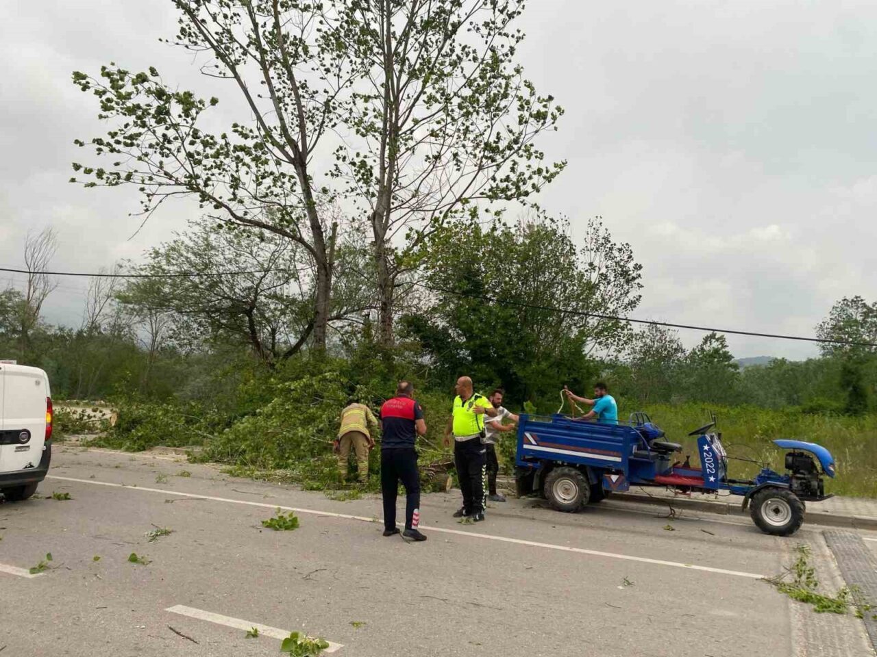 Bartın’da şiddetli fırtınada ağaçlar devrildi
