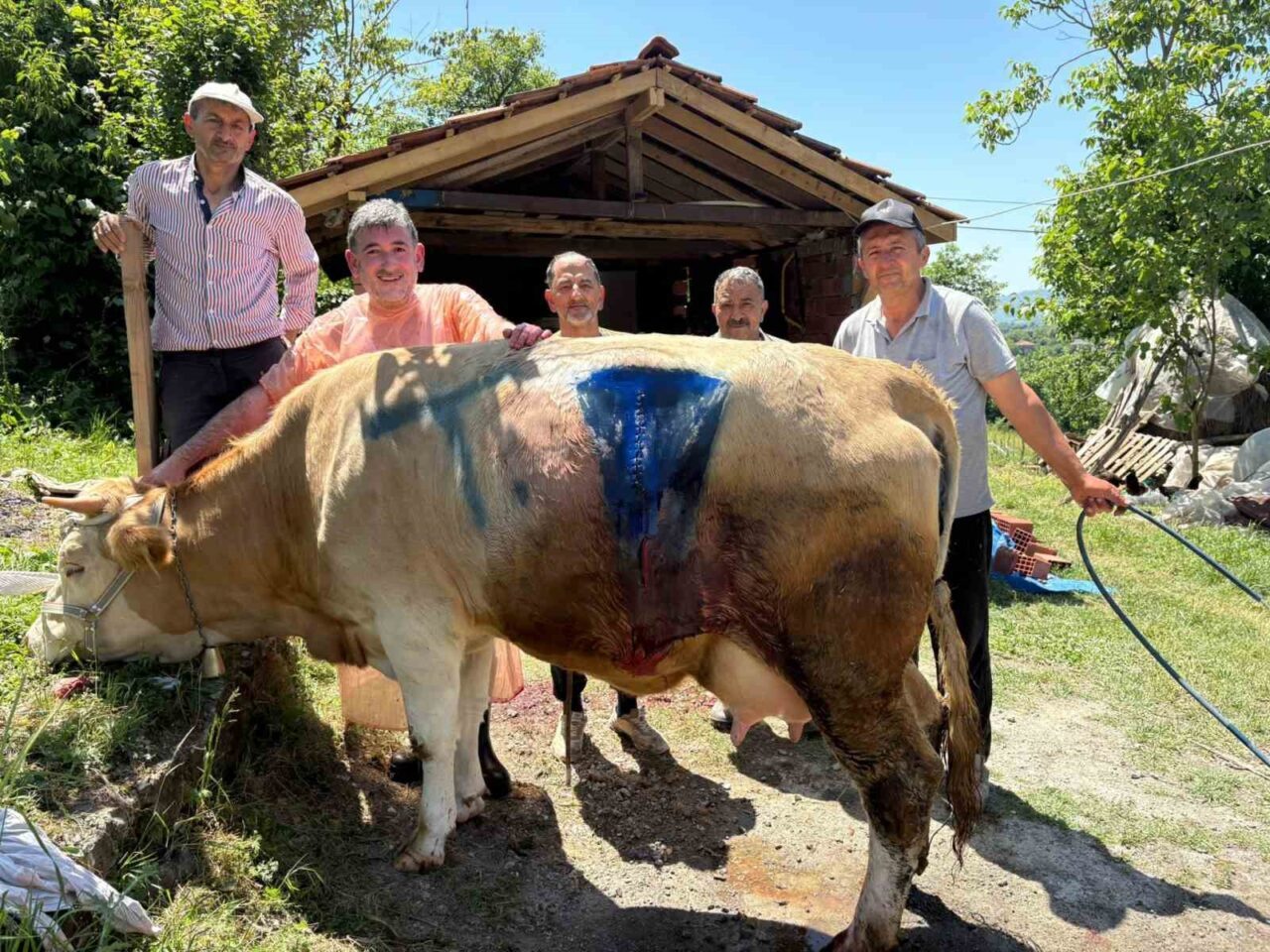 Bartın’da yüz binde bir görülen olay