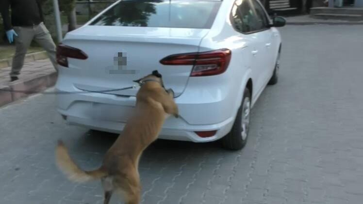 Bolu’da zehir tacirlerine geçit yok: 12 gözaltı