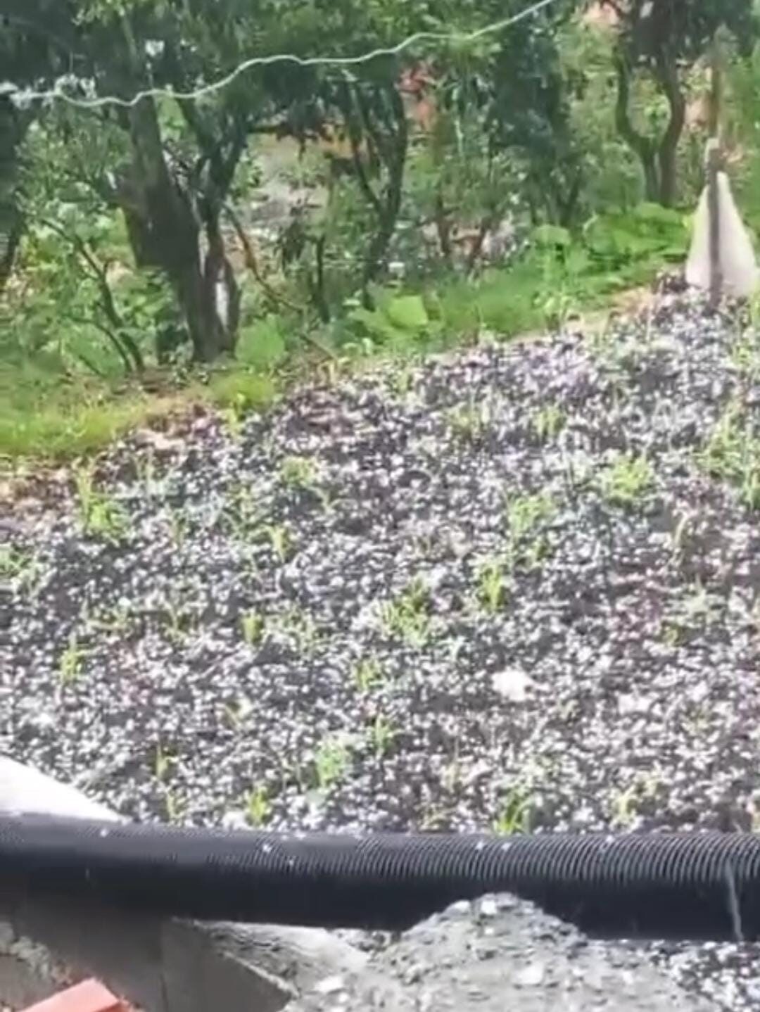 Çay üreticilerine dolu sürprizi