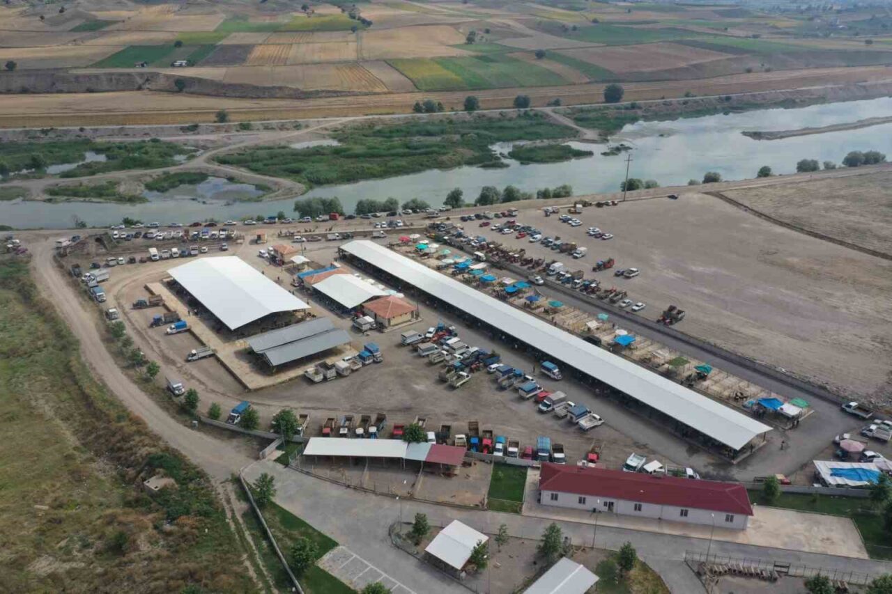 Erbaa hayvan pazarı 5 Mayıs’ta yeniden açılıyor