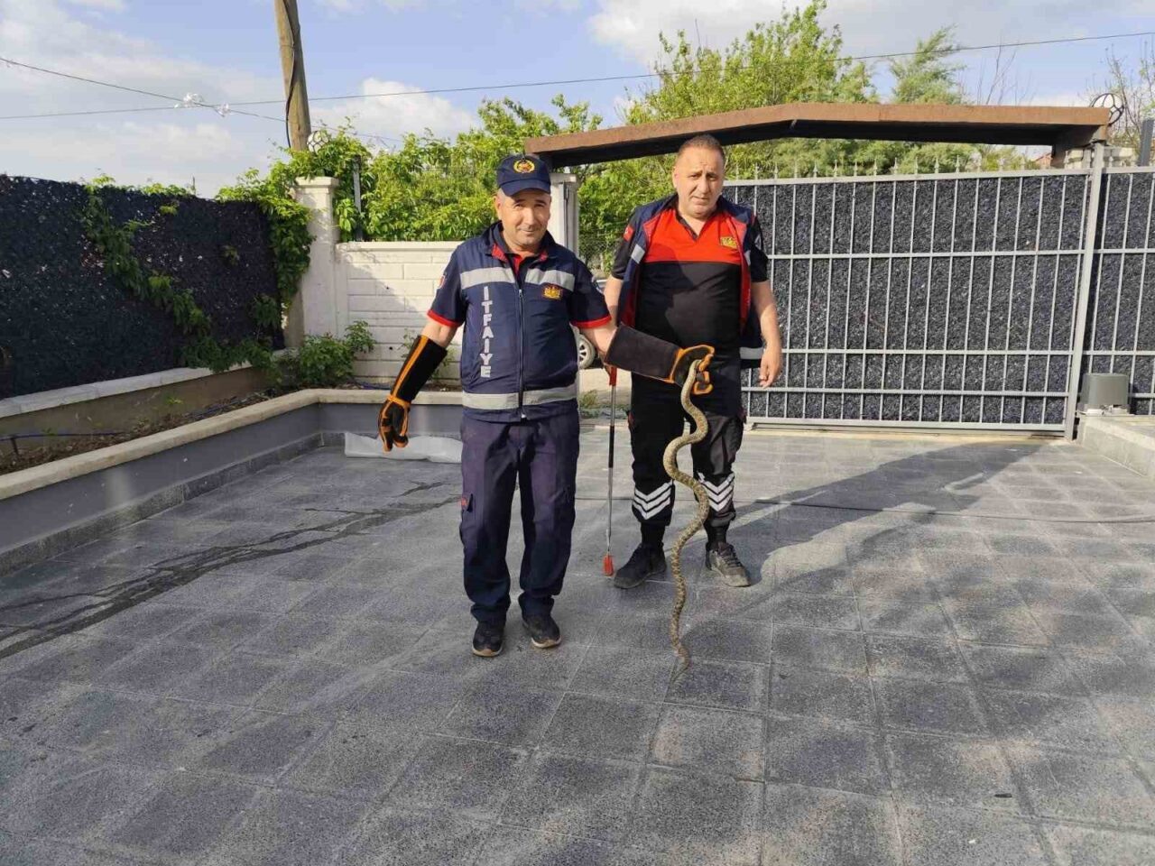 Eve giren yılan itfaiye ekiplerini seferber etti