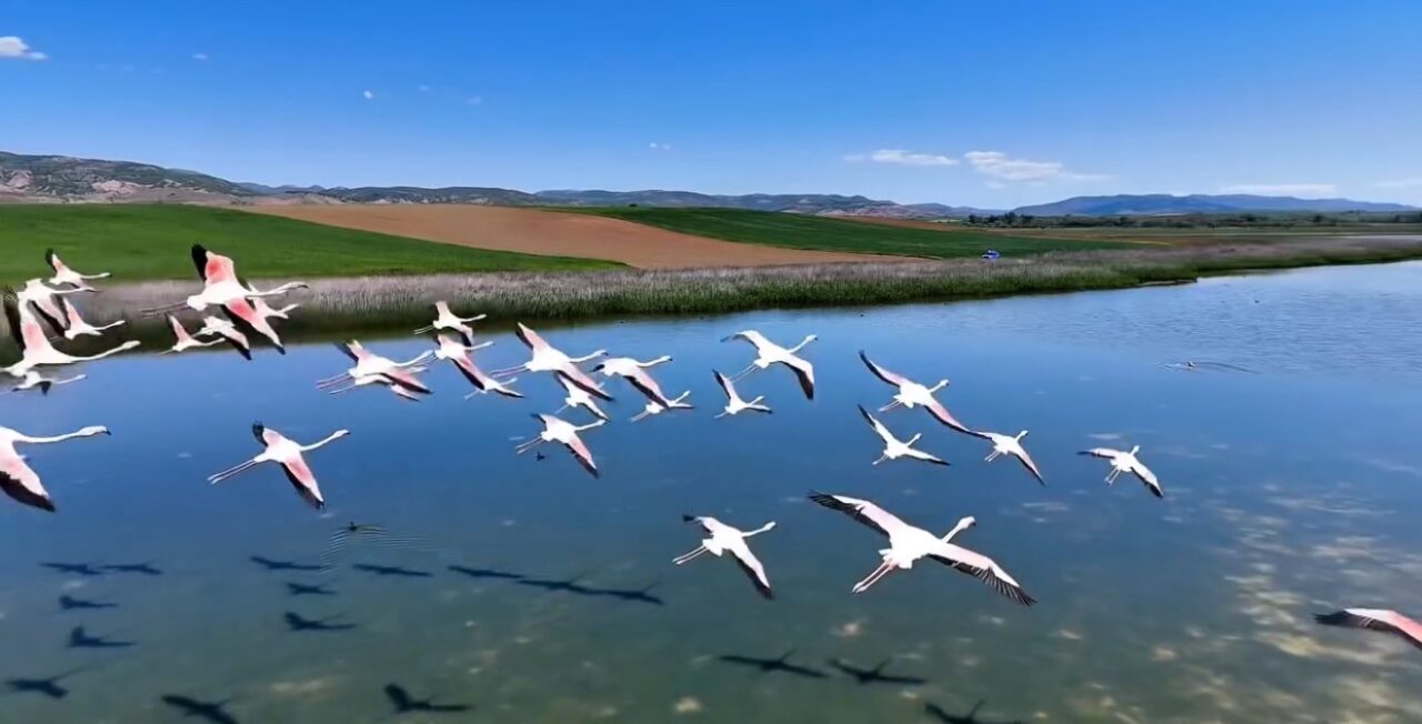 Jandarmadan Uyuz Gölünde kuş devriyesi