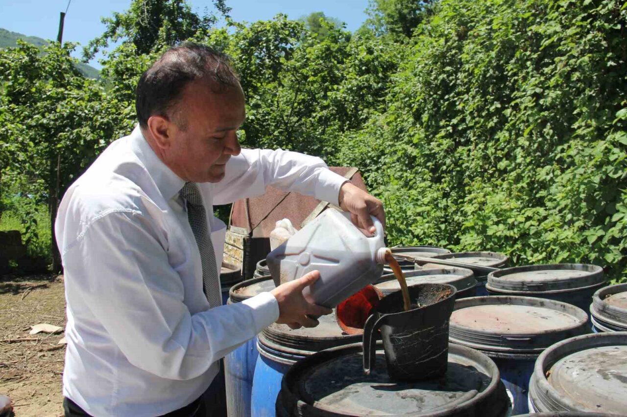 Kahverengi kokarcaya sıvı balık gübreli önlem