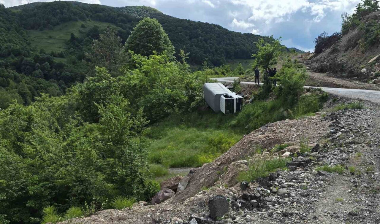 Karadeniz Ereğli’de  kamyonet şarampole yuvarlandı