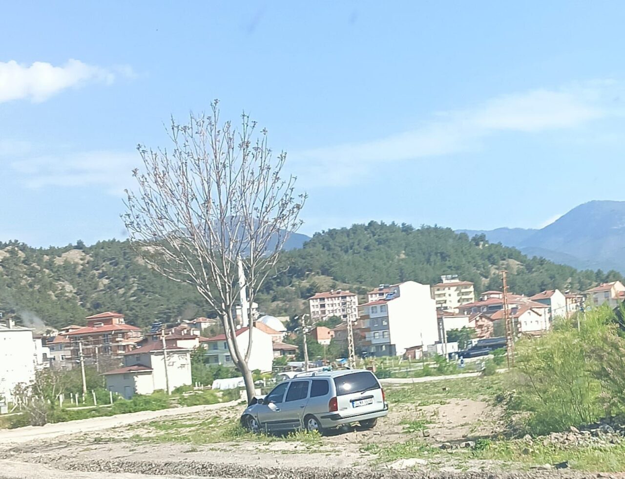 Kastamonu’da otomobil ağaca çarptı: 2 yaralı
