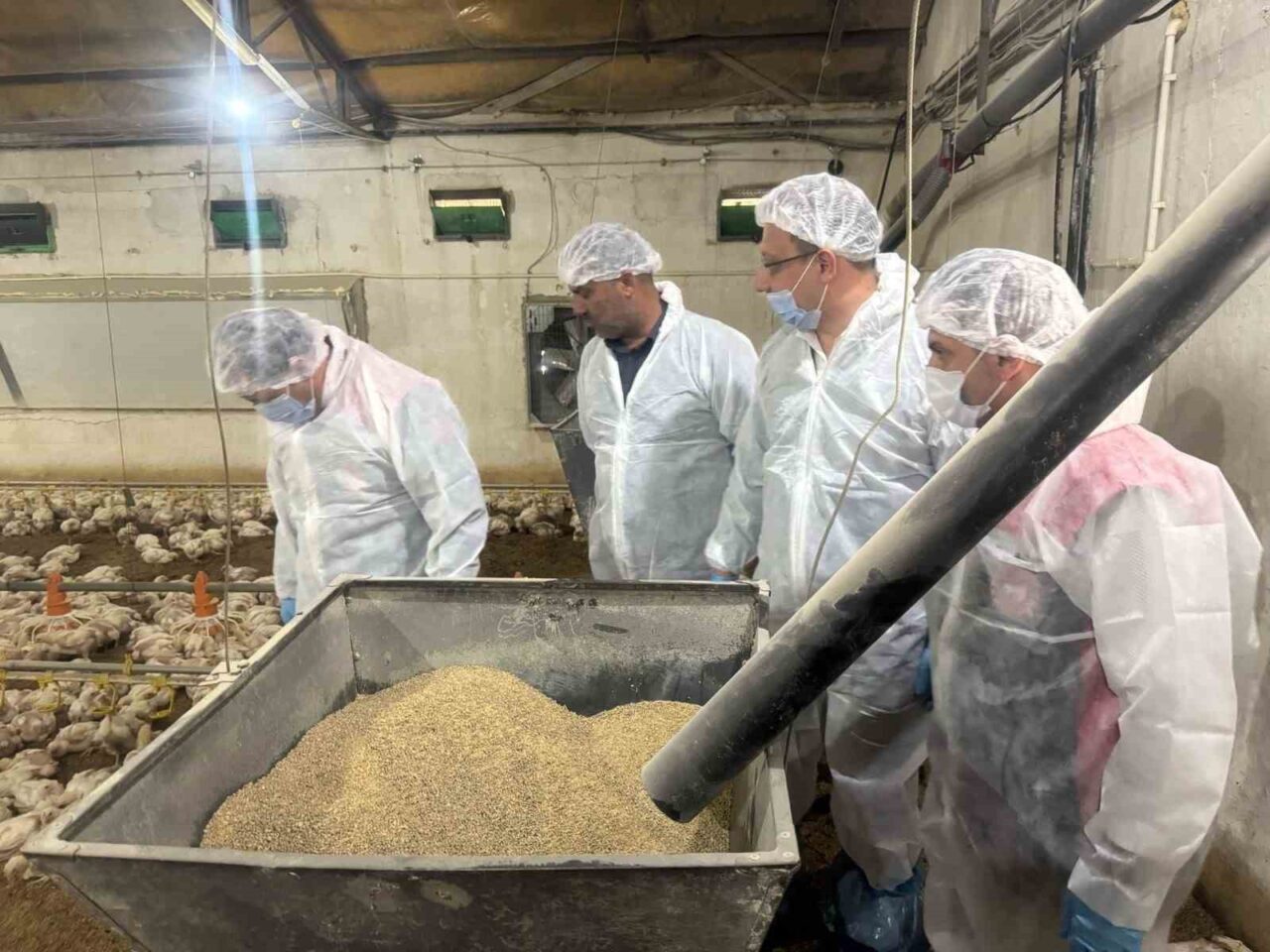 Mart ayında yıllık tavuk yumurtası üretimi yüzde 8,8 azaldı