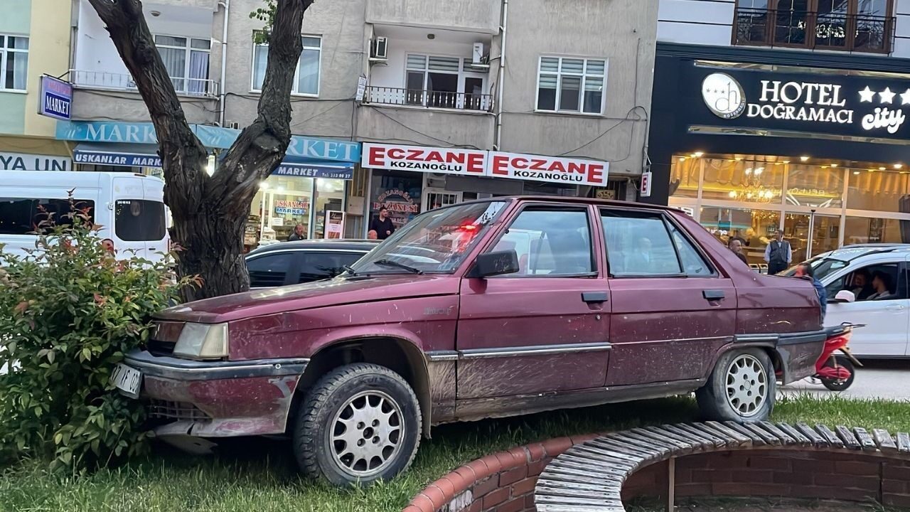 Park halindeyken haraket eden otomobil ağaraca çarparak durabildi