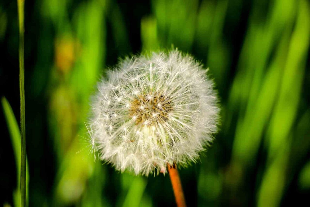 ’Sakin Şehir’ Şavşat’tan kartpostallık görüntüler