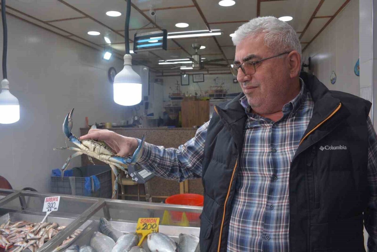 Sinop’ta dev mavi yengeç görenleri şaşırttı