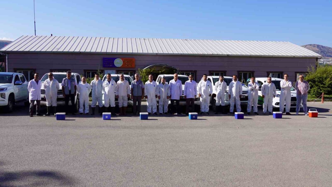 Tokat’ta 253 bin büyükbaş hayvan aşılandı