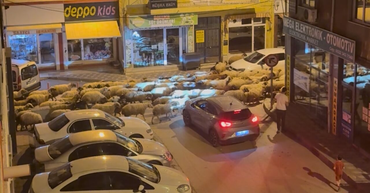 Tokat’ta gece başlayan yayla göçü dronla görüntülendi