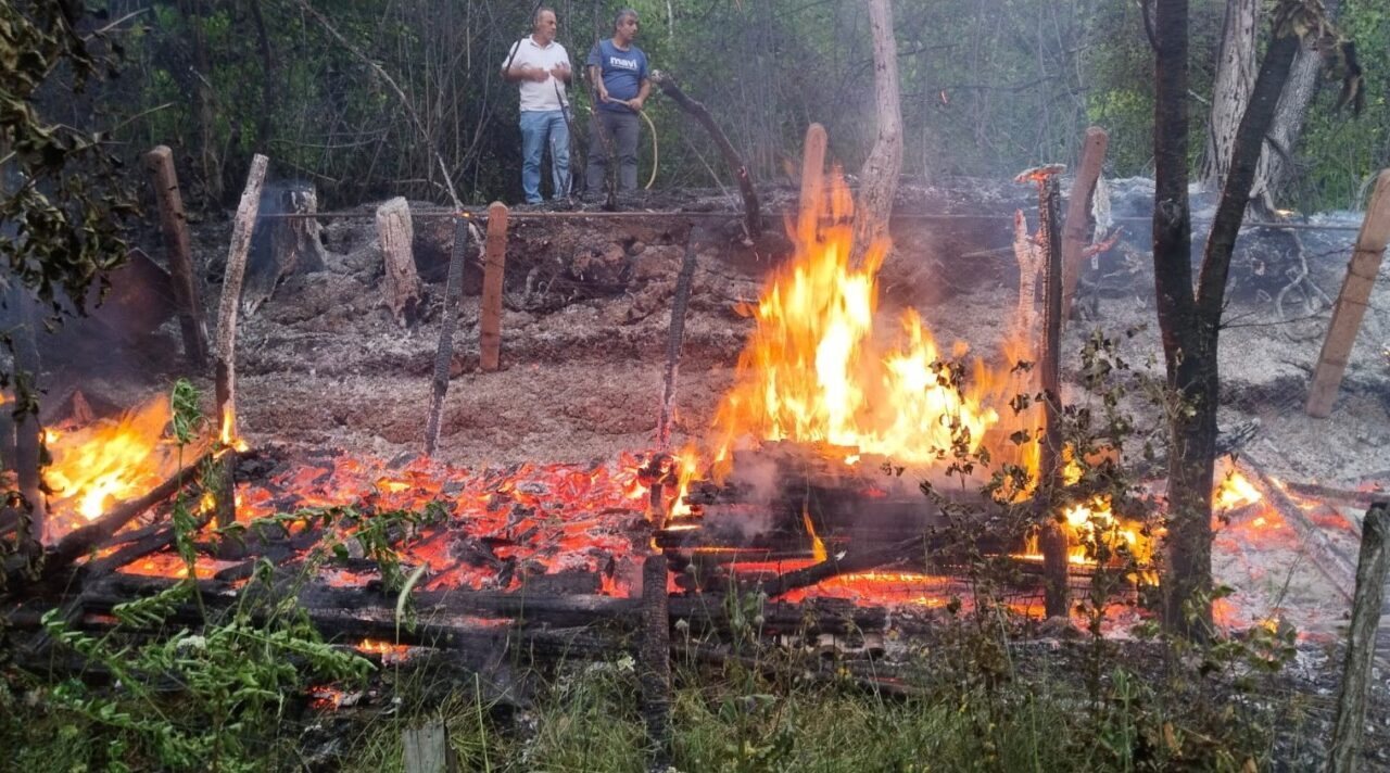 Zonguldak’ta bal üreticisinin barakası yandı