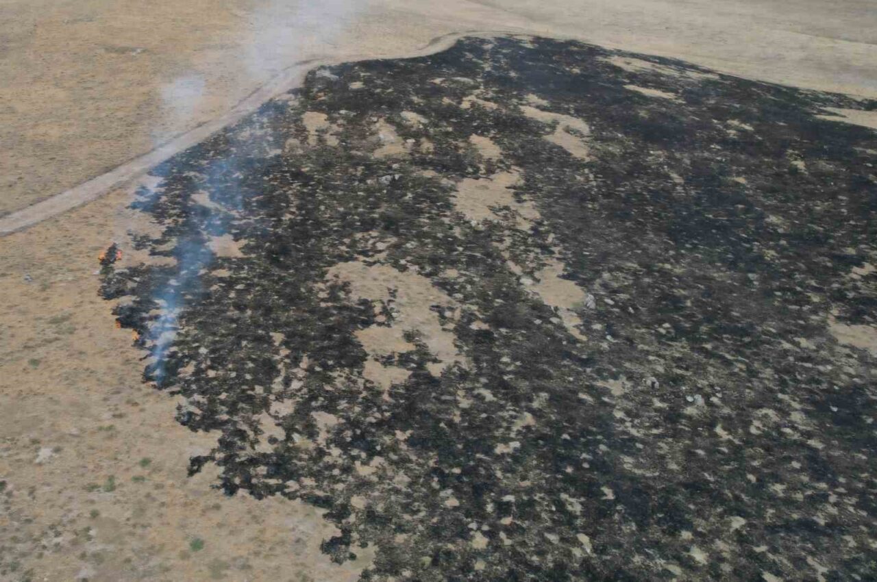 Alevler, tarım arazisine metreler kala kontrol altına alındı: 250 dönüm otluk alan kül oldu