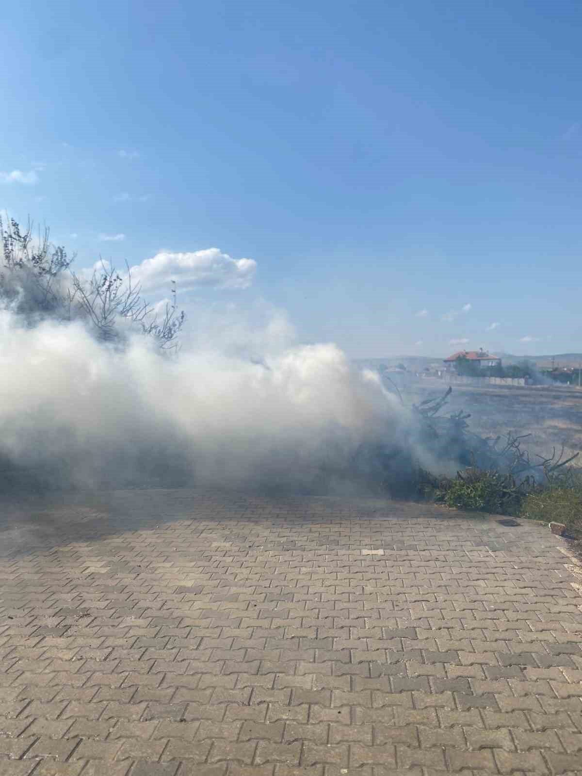 Alevlere teslim olan 5 ton odun küle döndü