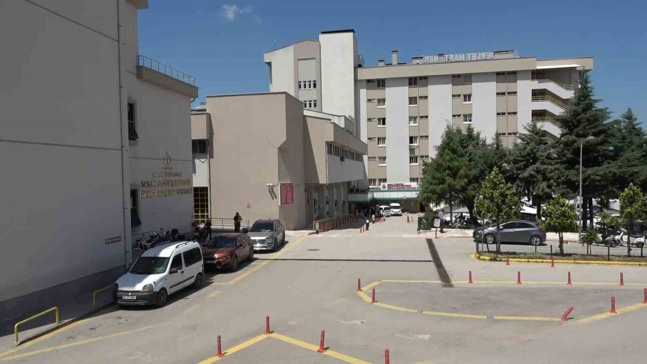 Amasya’da hastane deposuna giren yılan yakalandı