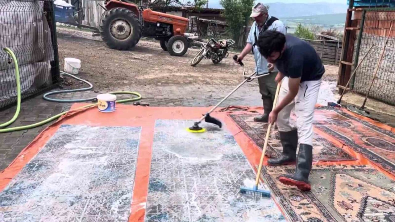 Amasyalı çiftçi halılarını tırpanla yıkadı: "Halı yıkamada çığır açtık"