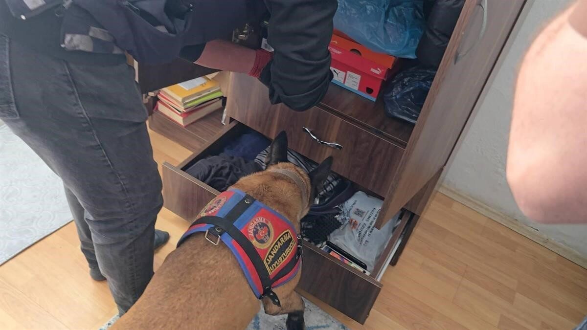 Artvin’de uyuşturucu operasyonu: 7 zehir taciri tutuklandı