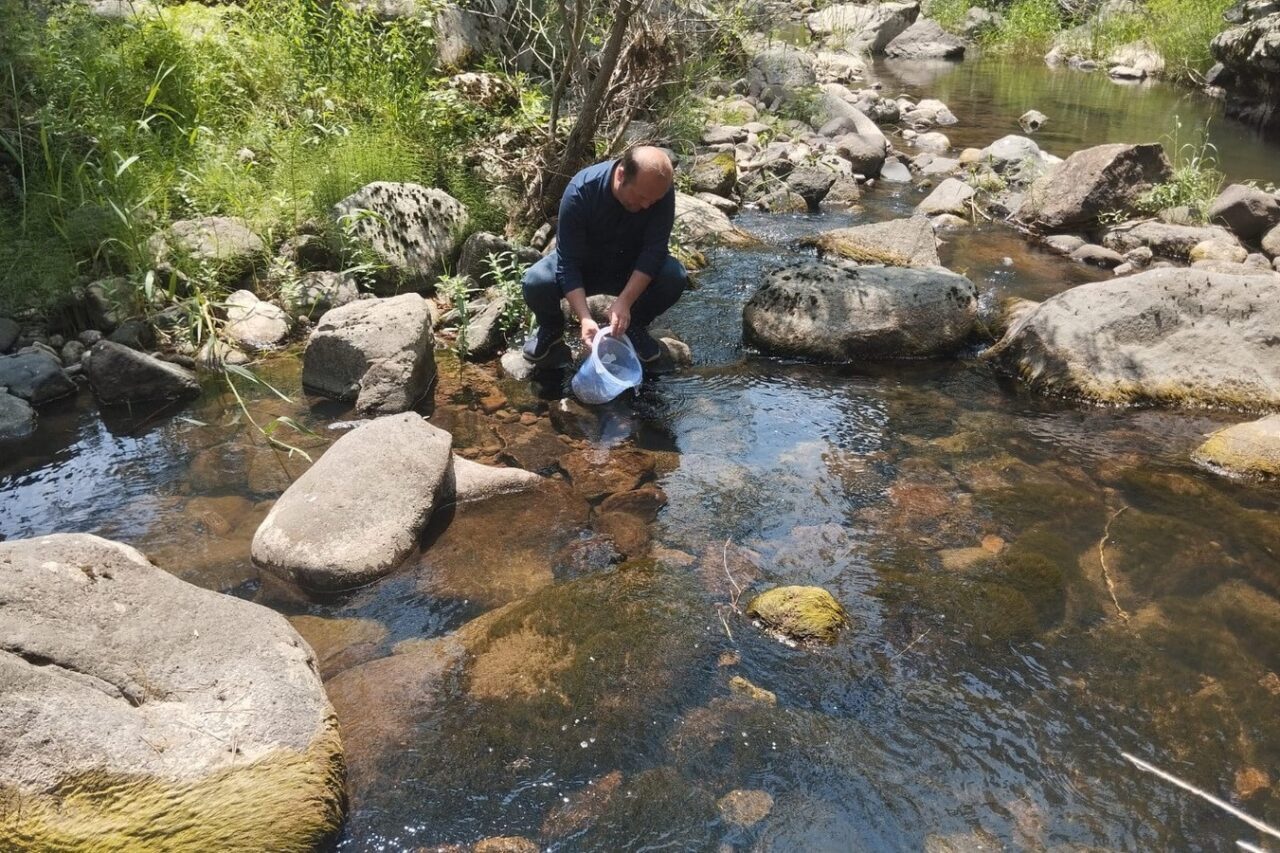 Bolu’da 12 bin kırmızı benekli alabalık yavrusu orman içi derelere bırakıldı