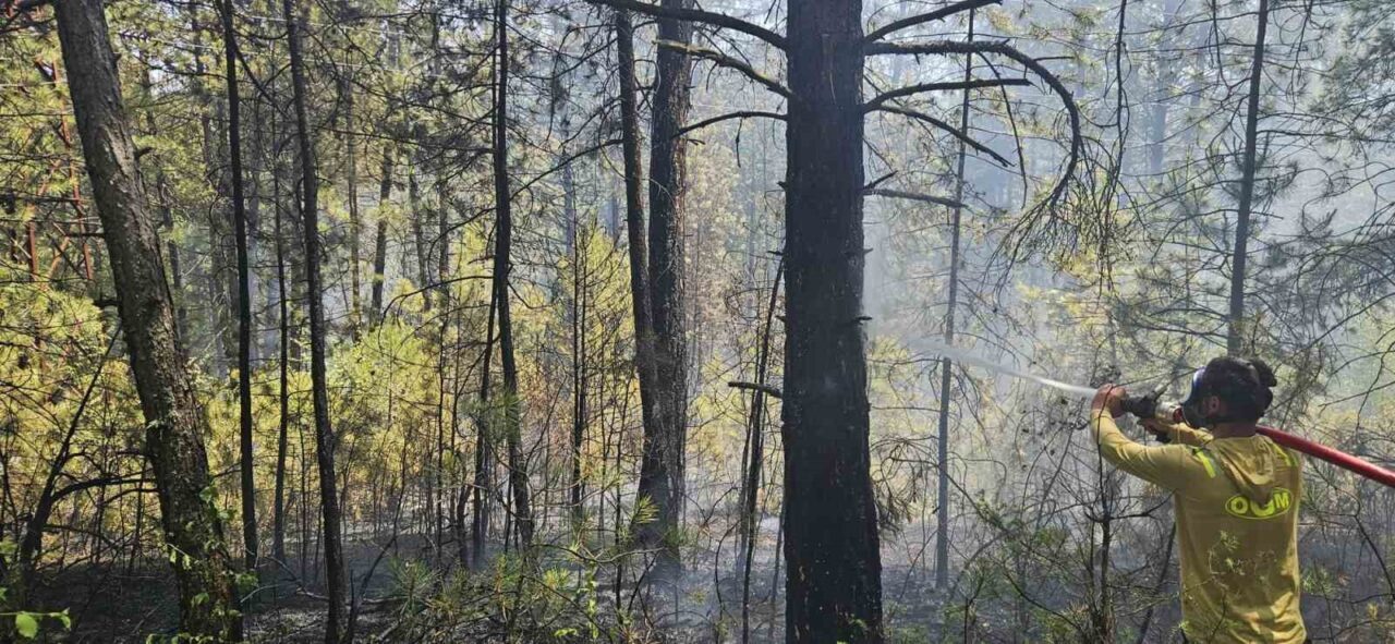 Bolu’da ormanlık alanda örtü yangını faciaya dönüşmeden söndürüldü