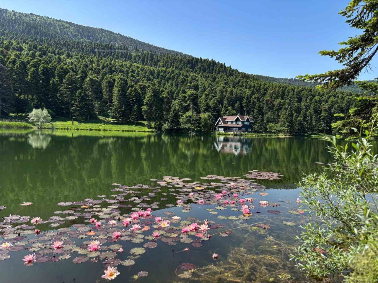 Bolu’da yangın riskine karşı ormanlık alanlara giriş yasaklandı