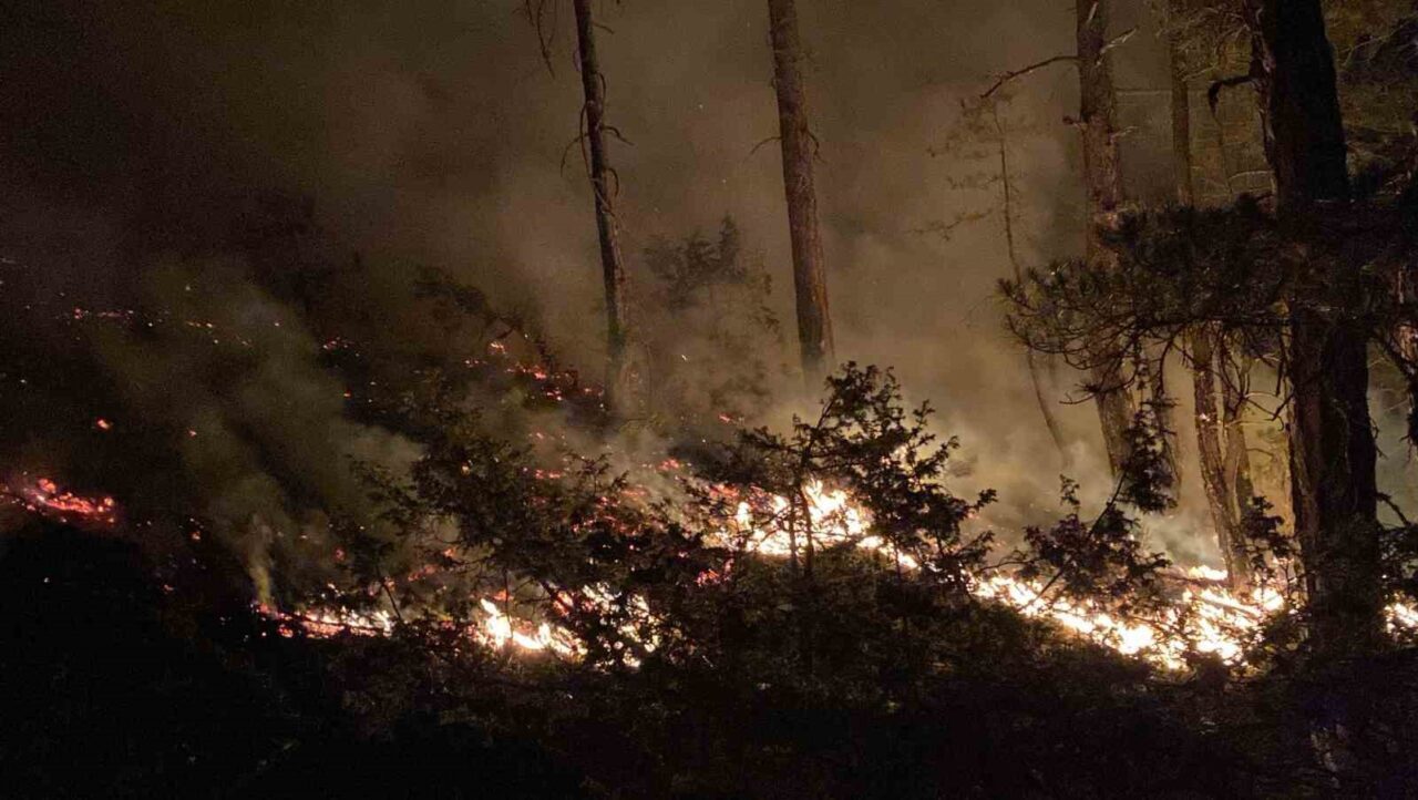 Bolu’daki orman yangını 8 saatte kontrol altına alındı