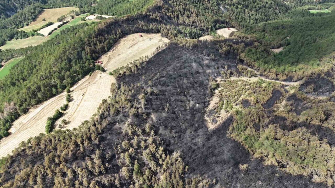 Bolu’daki orman yangınında 25 hektarlık alan küle döndü