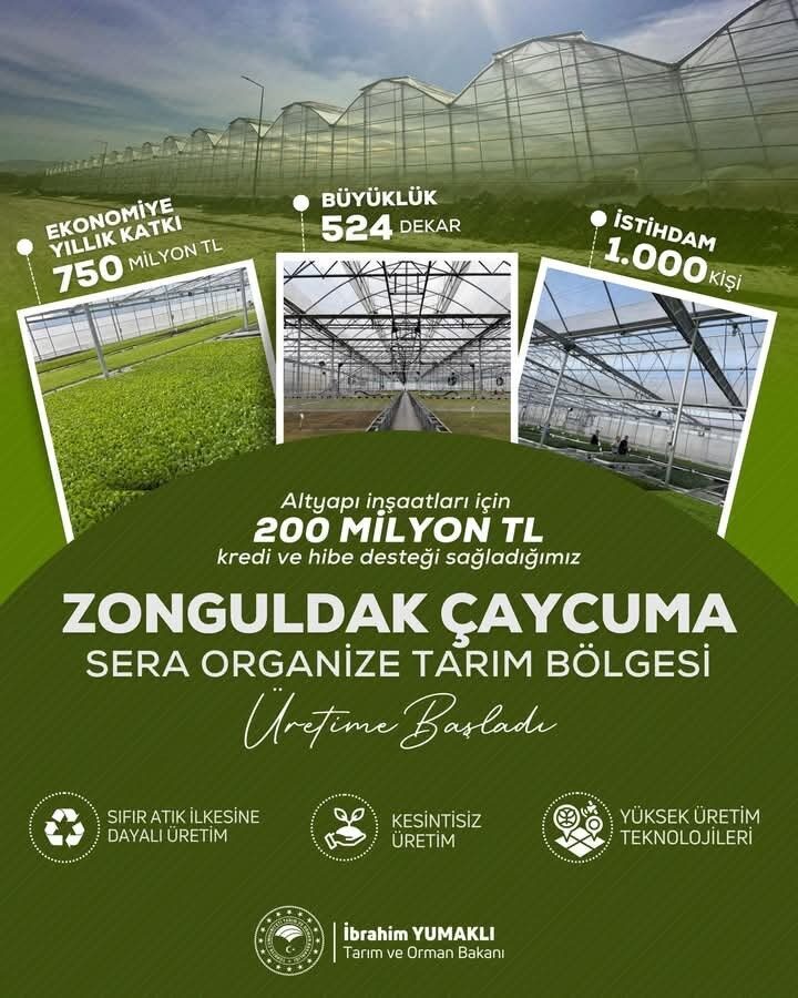 Çaycuma’da Sera Organize Tarım Bölgesi Üretime Başladı