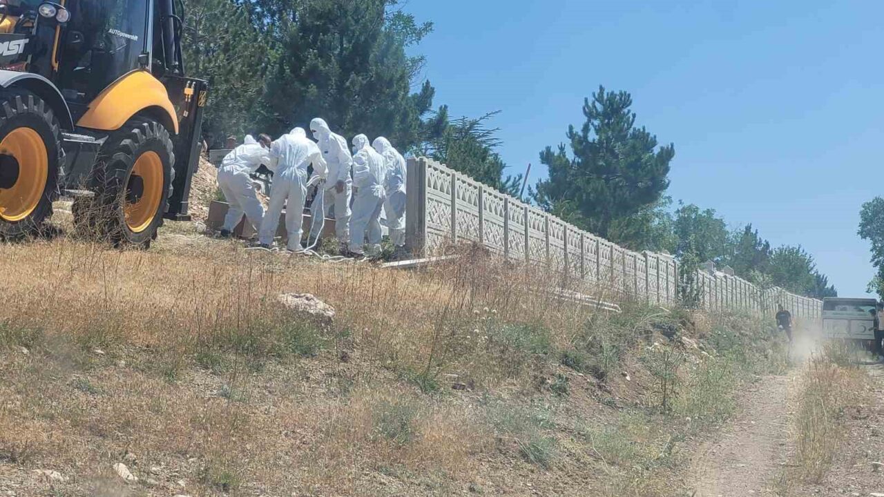 Çorum’da kene ısırması sonucu ölen adam toprağa verildi