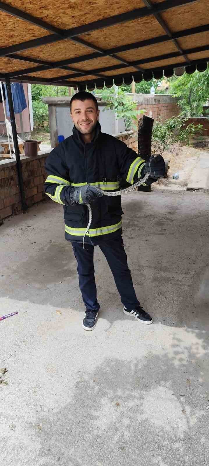 Eve giren yılan itfaiyeyi seferber etti.