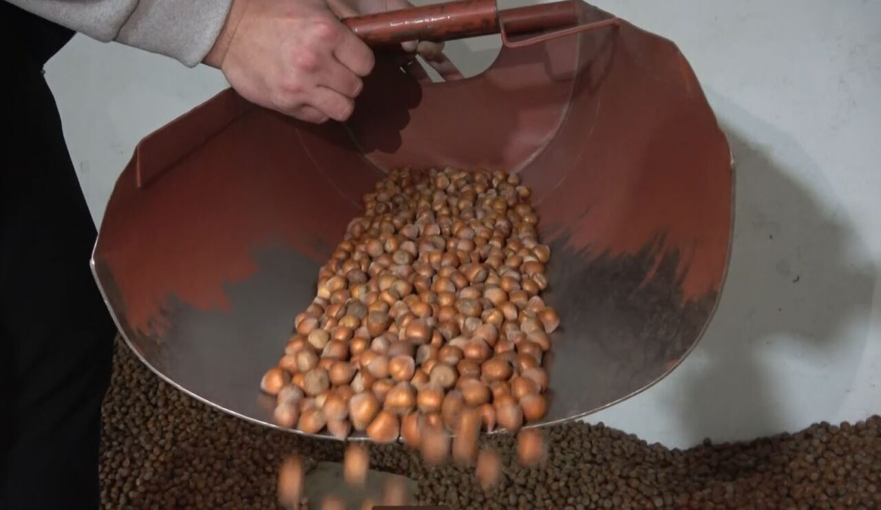 Fındıkta stoklar eriyor, yeni sezonun yolu açılıyor