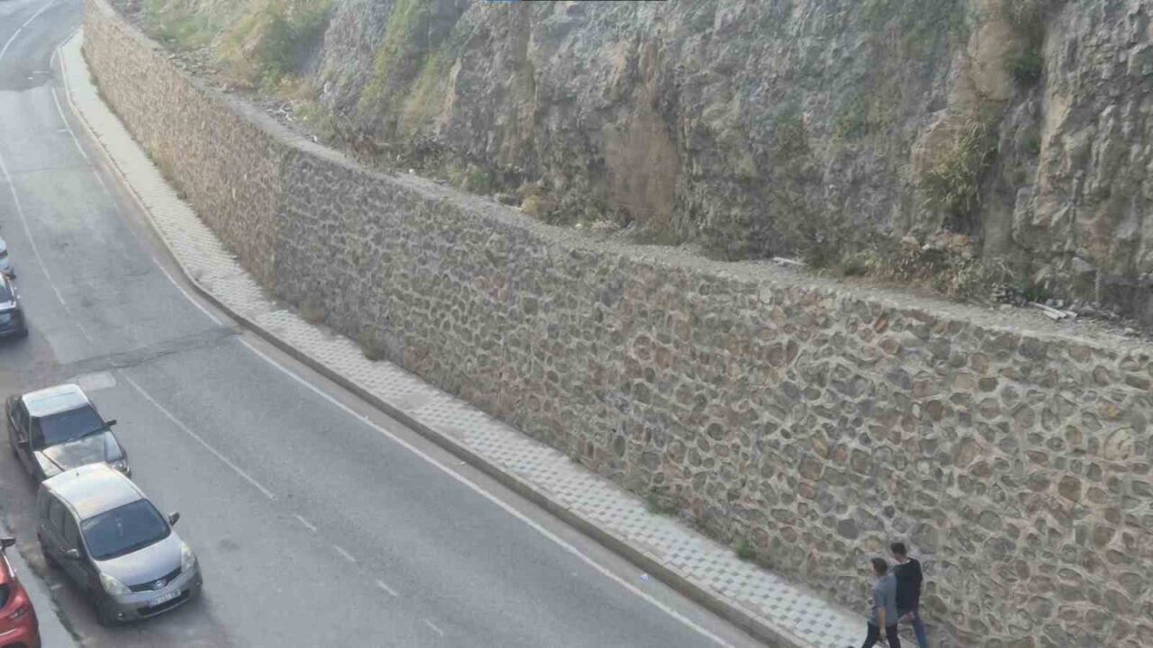 Gümüşhane dağlarının süsü yaban keçileri şehrin de süsü oldu