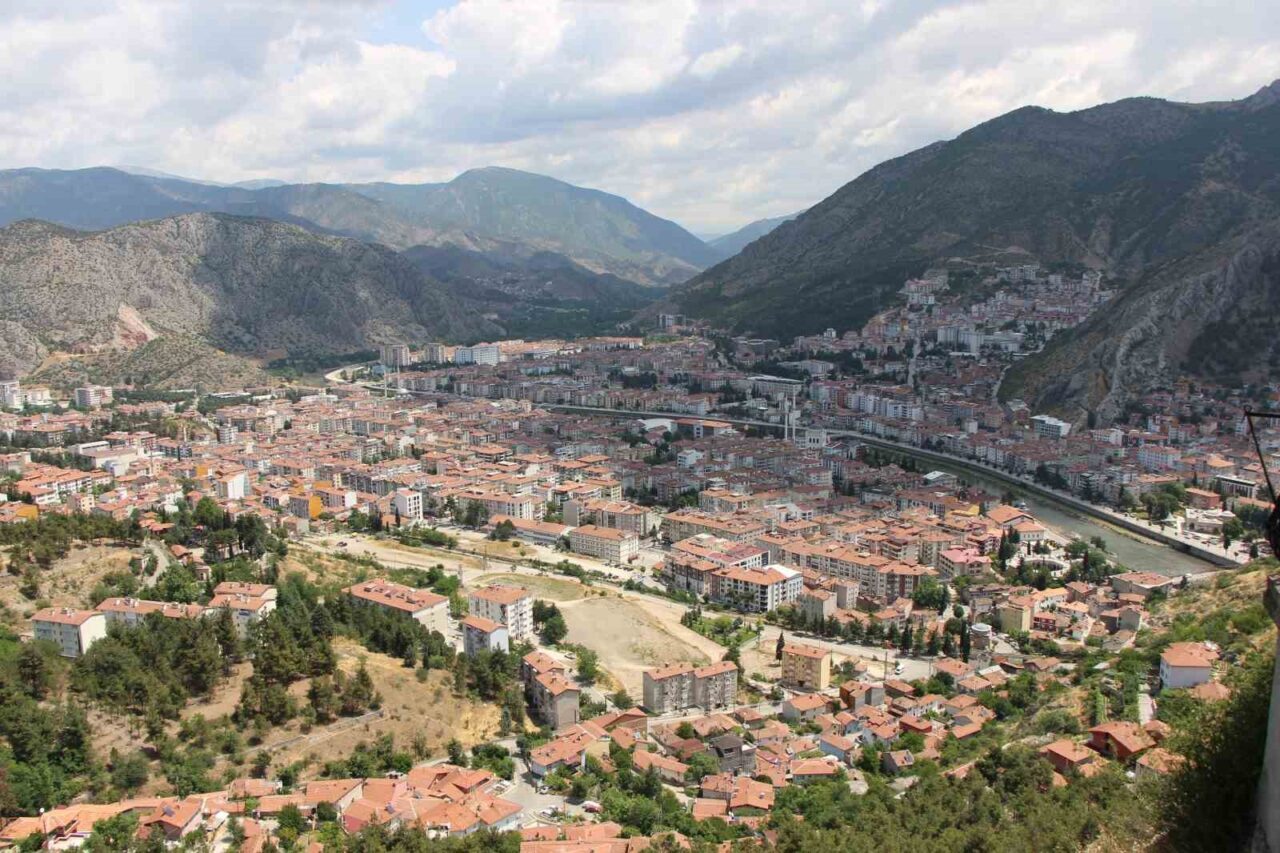 Kahverengi kokarca yayılıyor: Amasya’da da tespit edildi