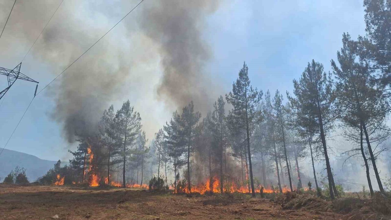 Karabük’te ormanlık alanda çıkan örtü yangını kontrol altına alındı