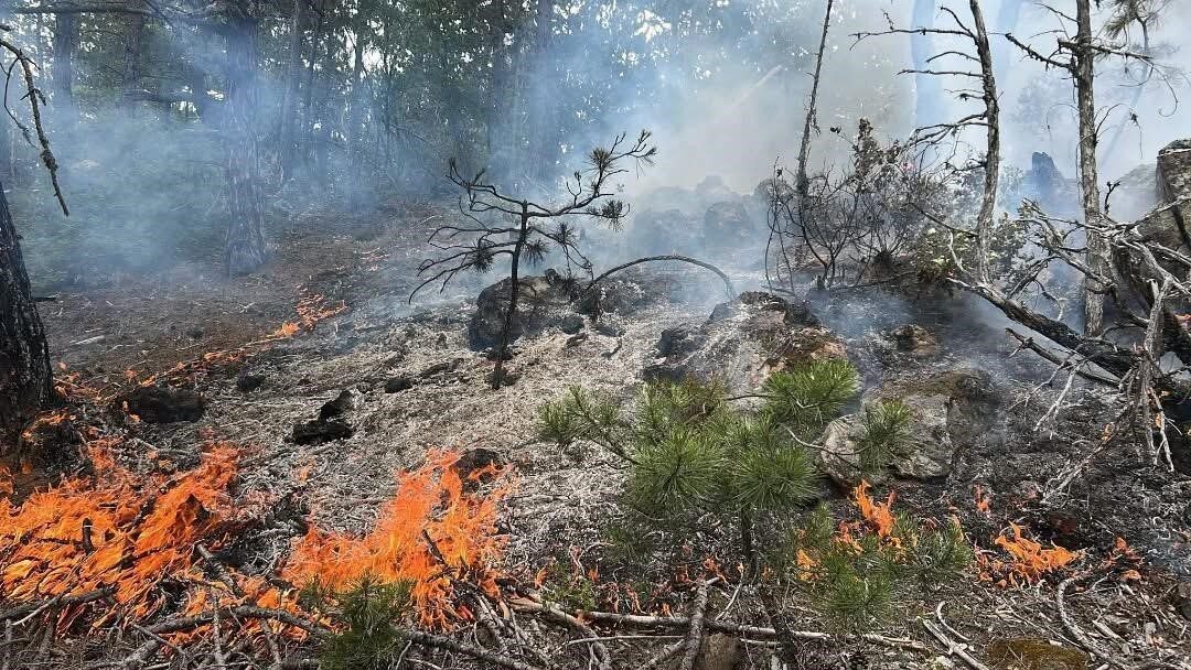 Kastamonu’da çıkan orman yangını büyümeden söndürüldü