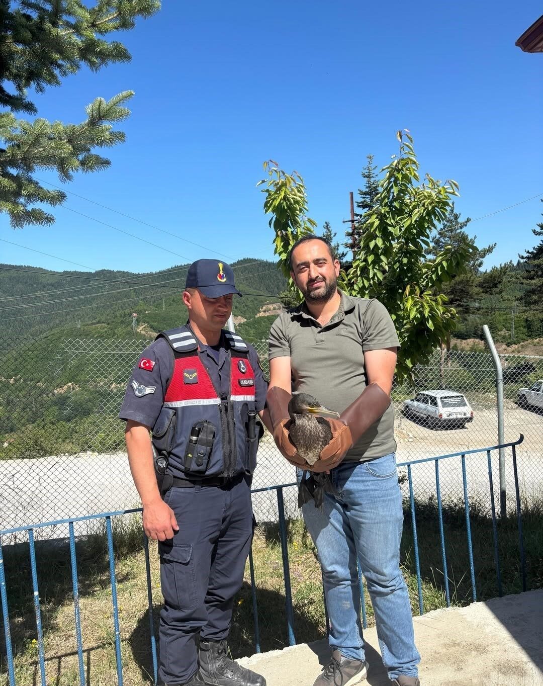 Kastamonu’da yaralı halde bulunan karabatak ve karga yeniden doğaya salındı