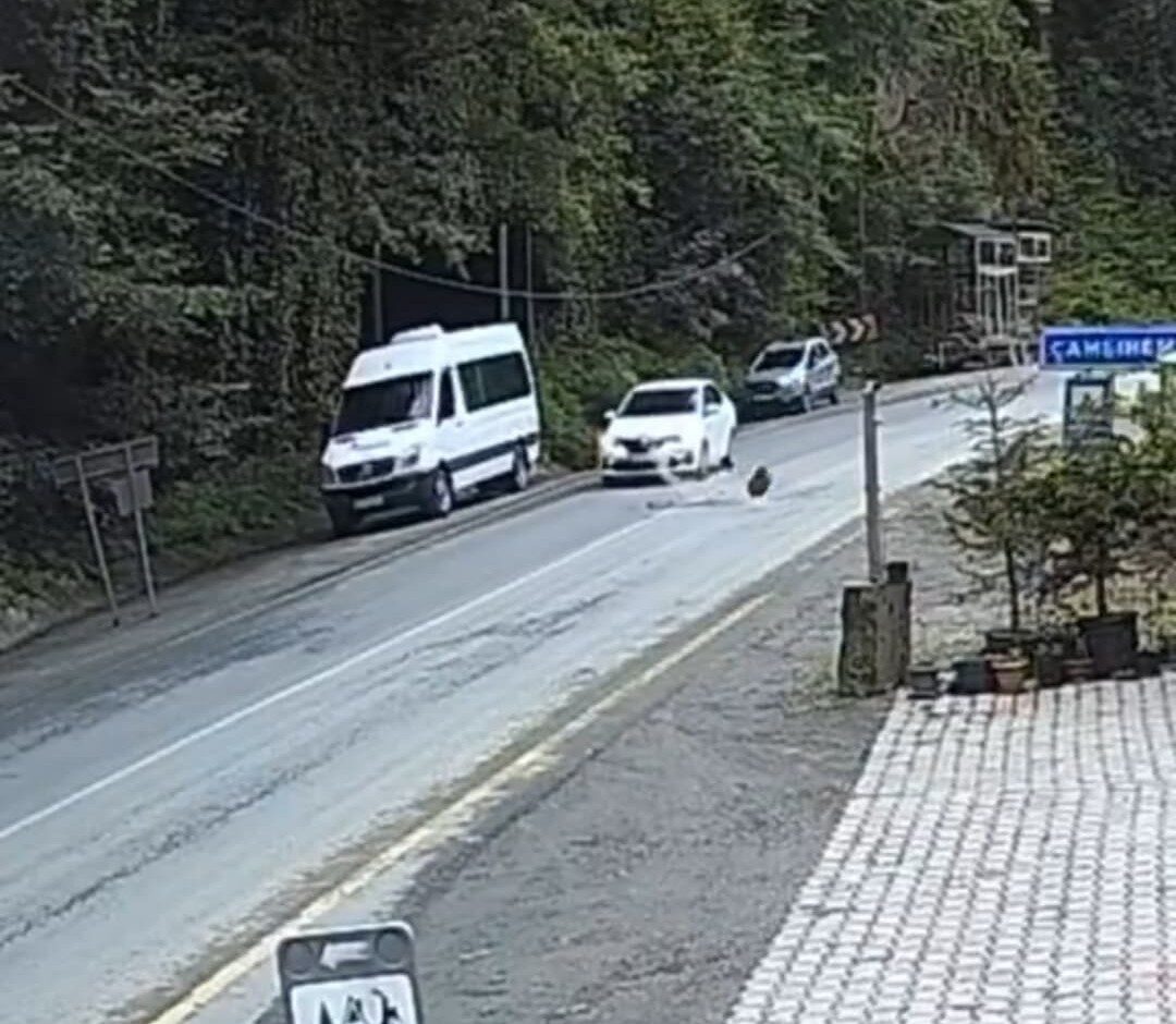 Otomobil düşen kayadan saniyelerle kurtuldu