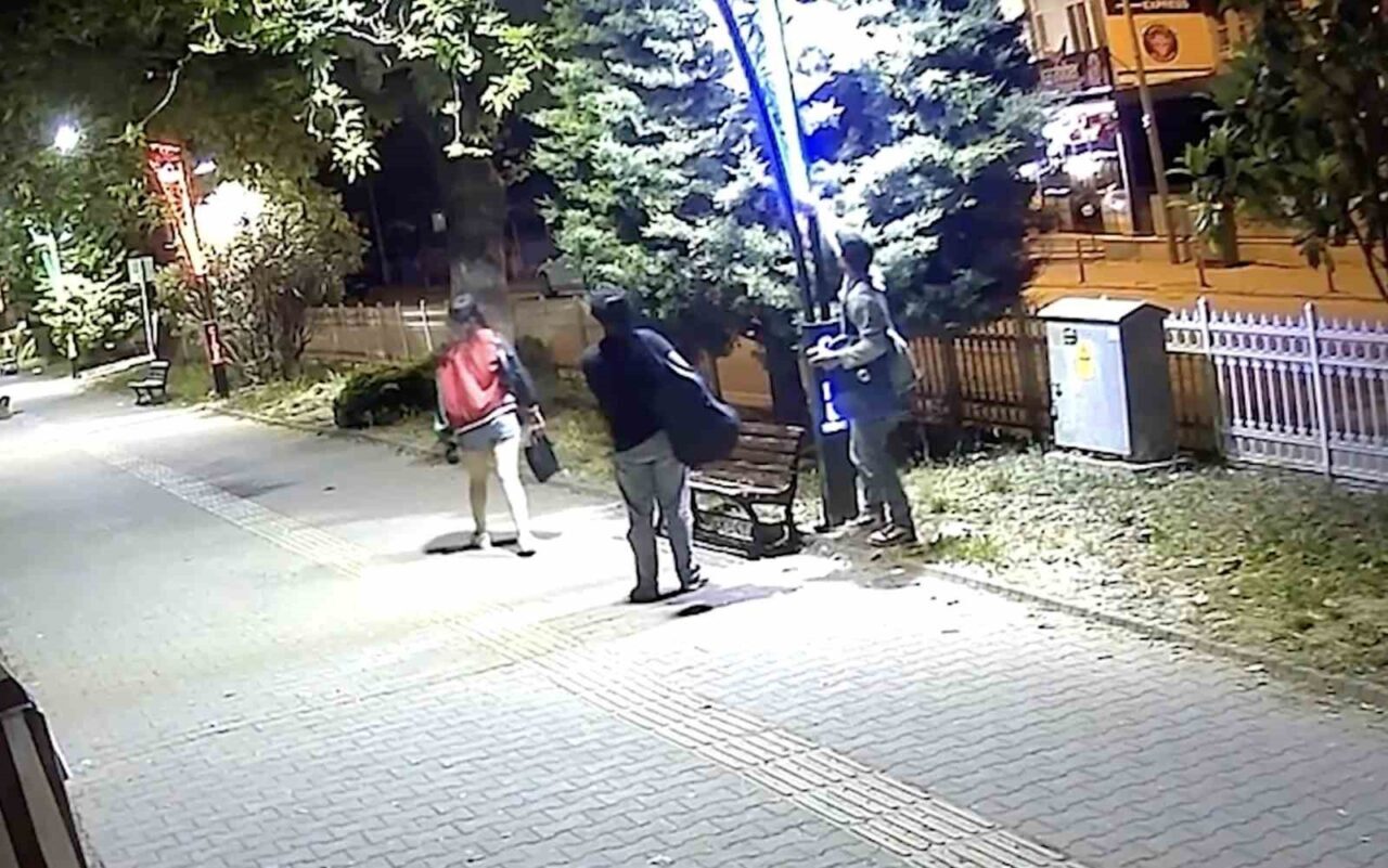 Pes dedirten görüntü: Eğlence için aydınlatma direklerine binlerce liralık zarar verildi